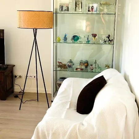 Apartment Oasis