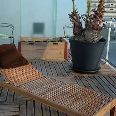 Oasis *