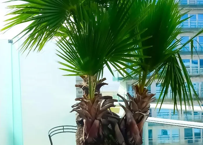 Apartment Oasis Buarcos